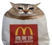 20260413_140633_Hugh_man_IMG_1774.jpeg