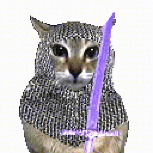 20260610_161950_ryan_b_cat-knight-chainmail-cat.gif