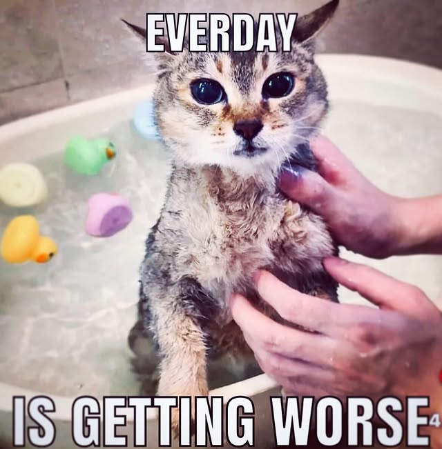 Every day is getting worse.png