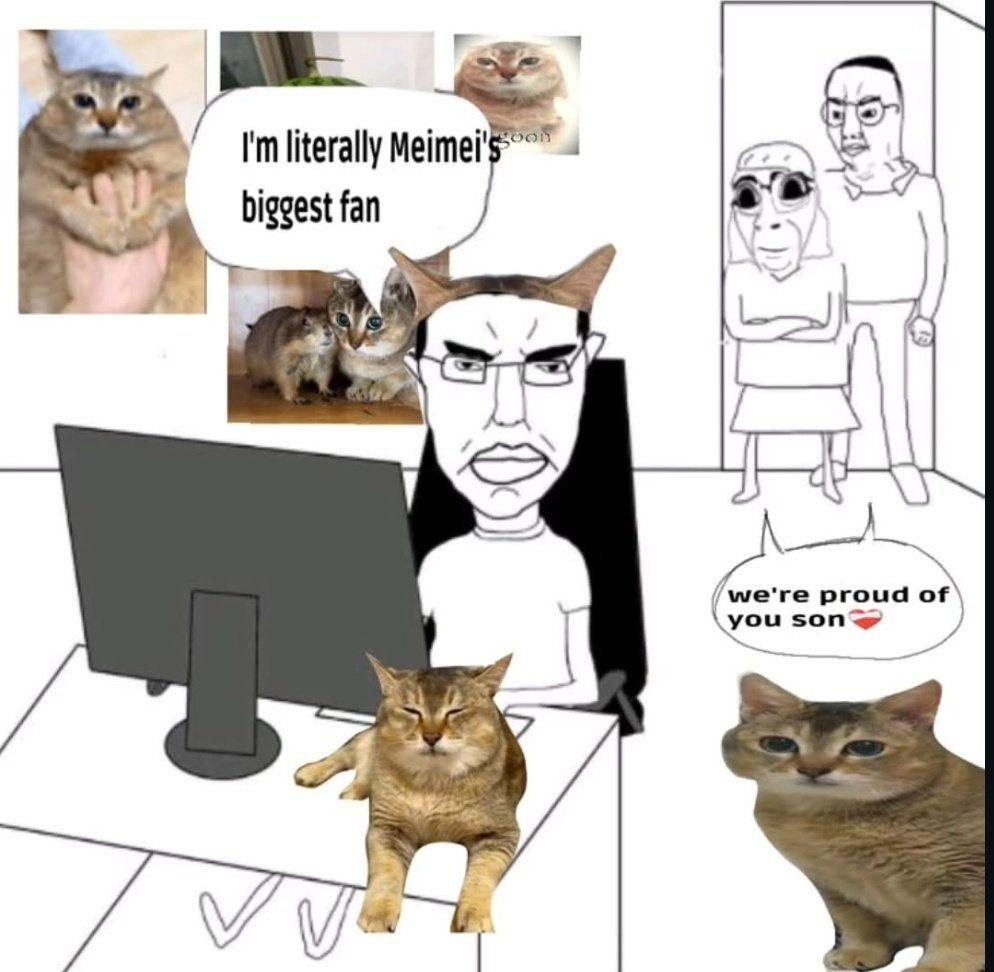 dt1844wpdm3h1.jpeg